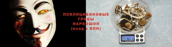 амф Алексин